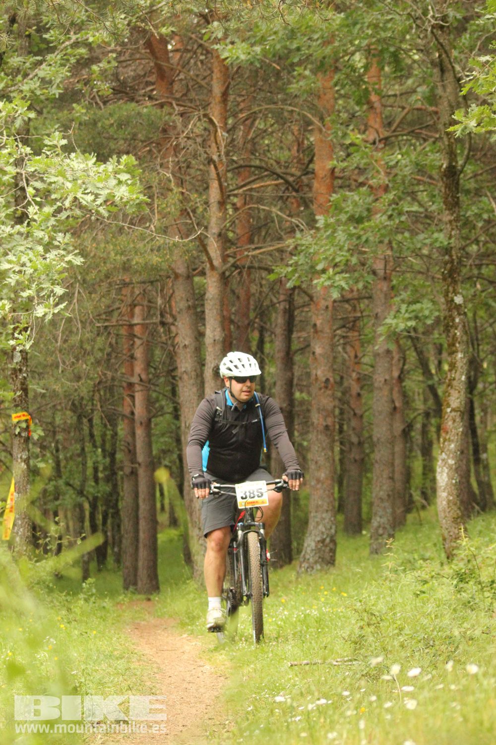 Galería Maratón Test The Best 2014-5