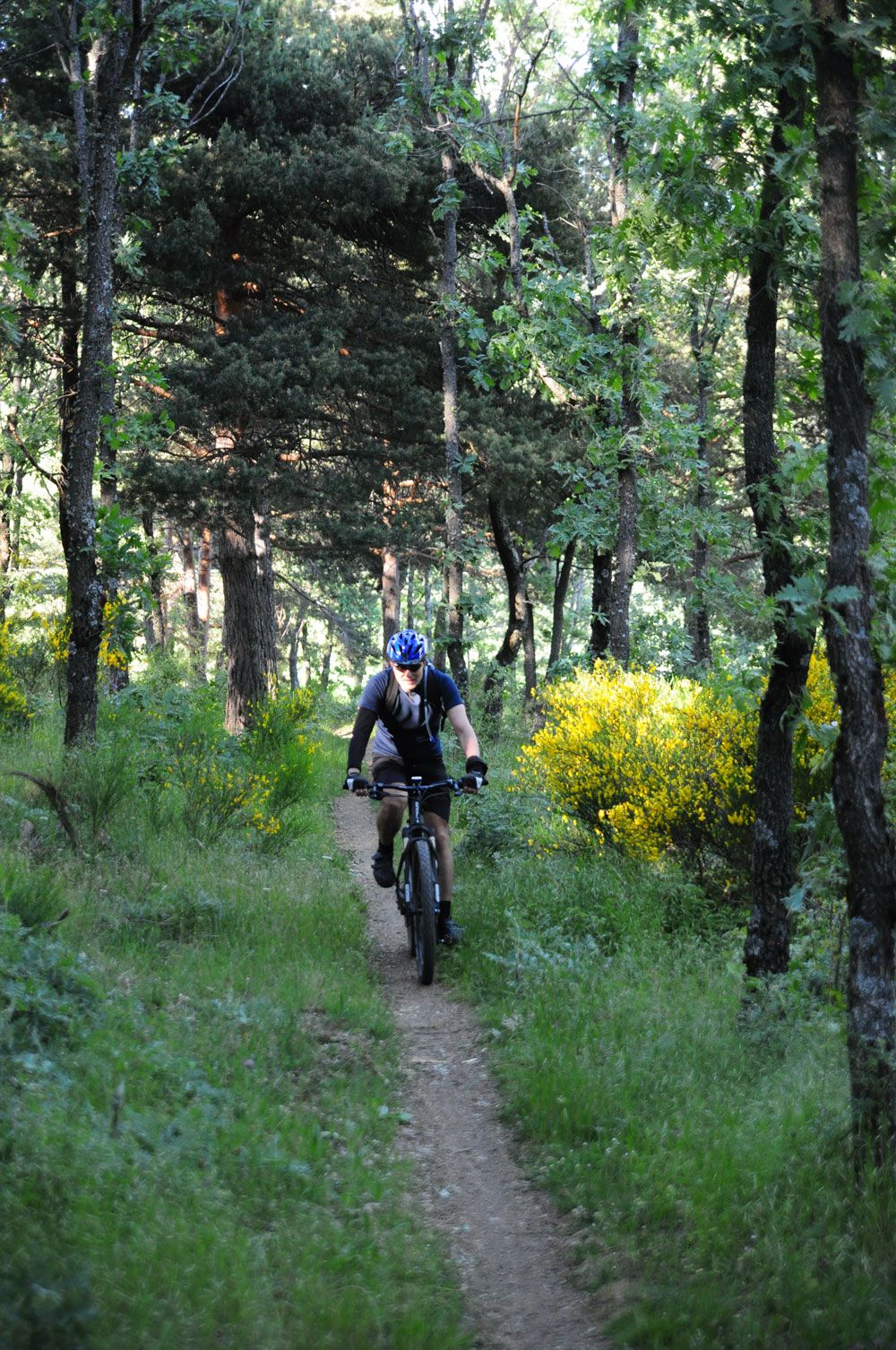 Galería Pruebas bicis 1 viernes Test The Best 2014