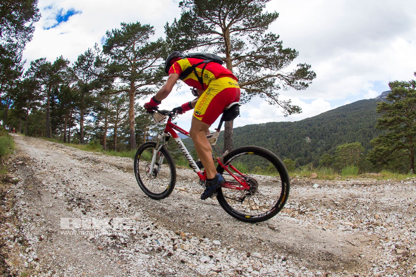 Maratón Test The Best 2014-6