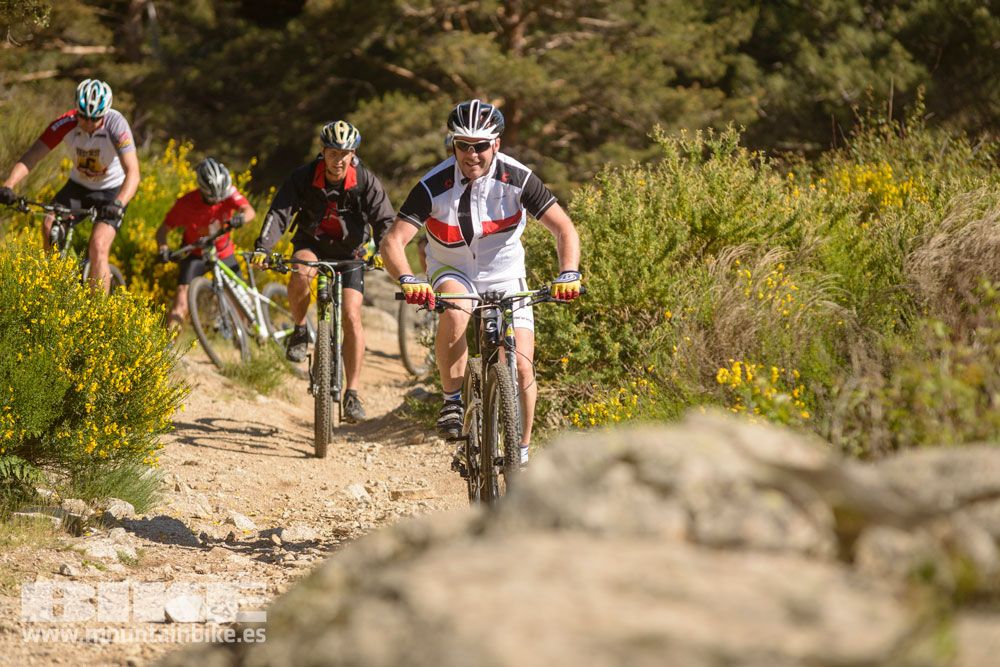 Pruebas de bicis Test The Best 2014-1