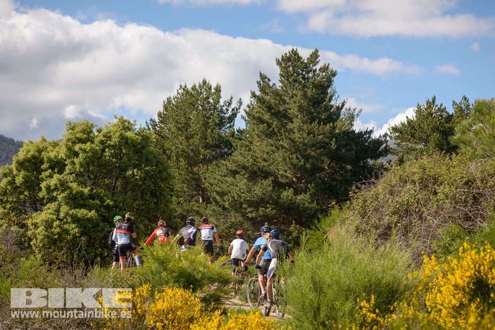 Pruebas de bicis Test The Best 2014-1