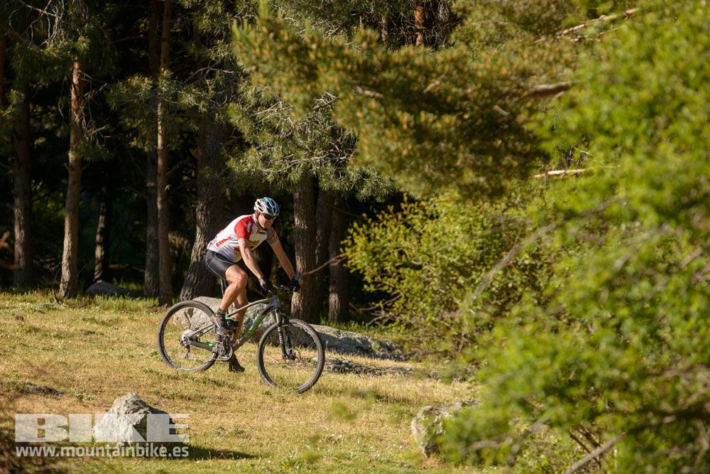 Pruebas de bicis Test The Best 2014-1