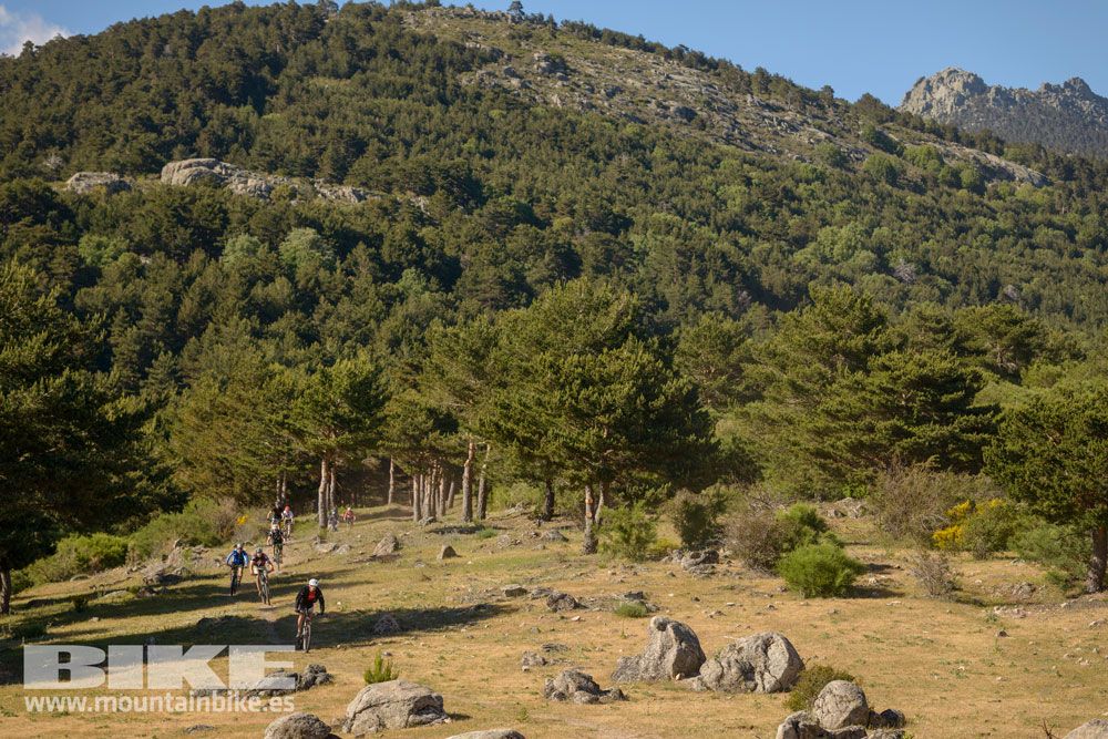 Pruebas de bicis Test The Best 2014-1