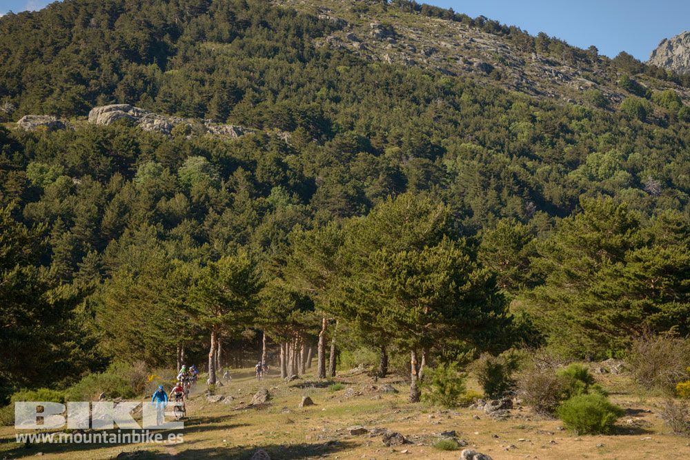 Pruebas de bicis Test The Best 2014-1