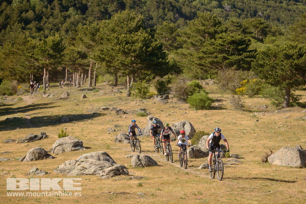 Pruebas de bicis Test The Best 2014-1