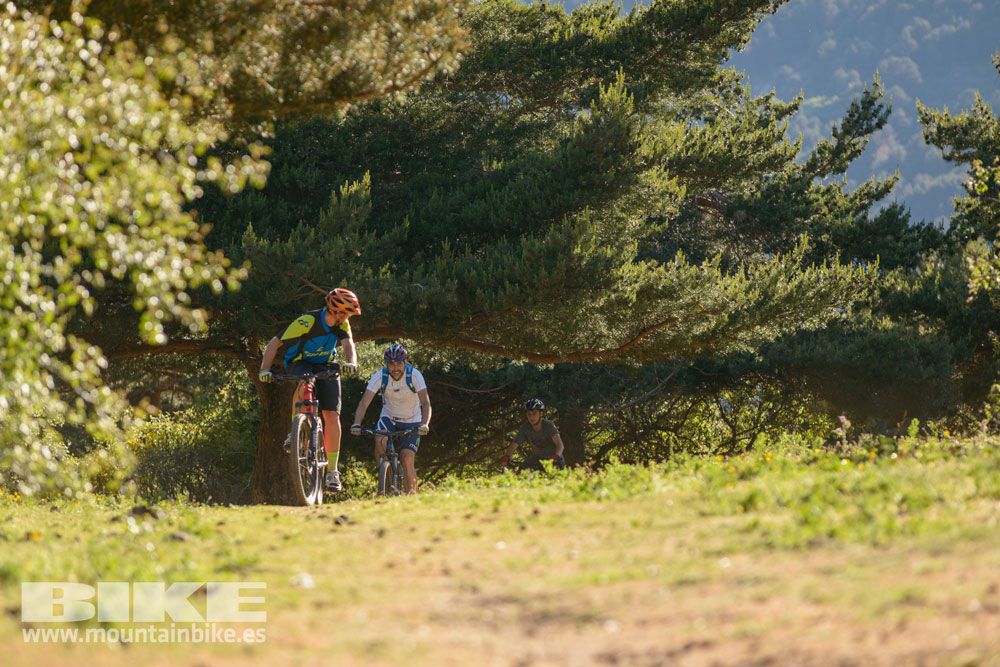 Pruebas de bicis Test The Best 2014-1