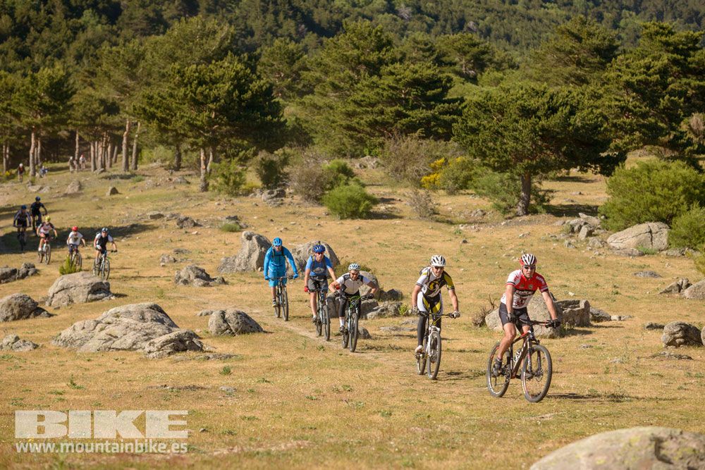 Pruebas de bicis Test The Best 2014-1
