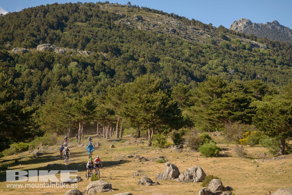 Pruebas de bicis Test The Best 2014-1