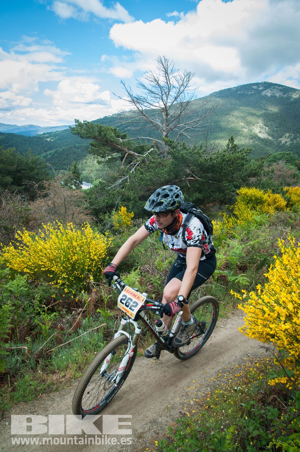 Maratón Test The Best 2014-9