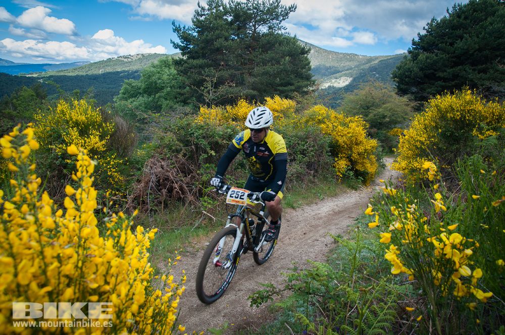 Maratón Test The Best 2014-9