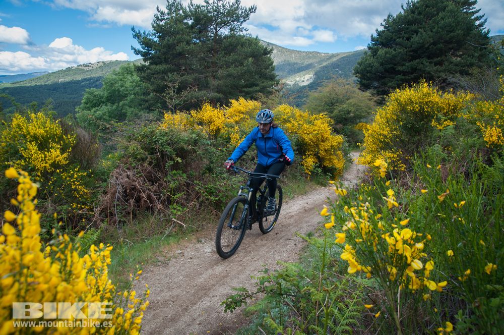 Maratón Test The Best 2014-9