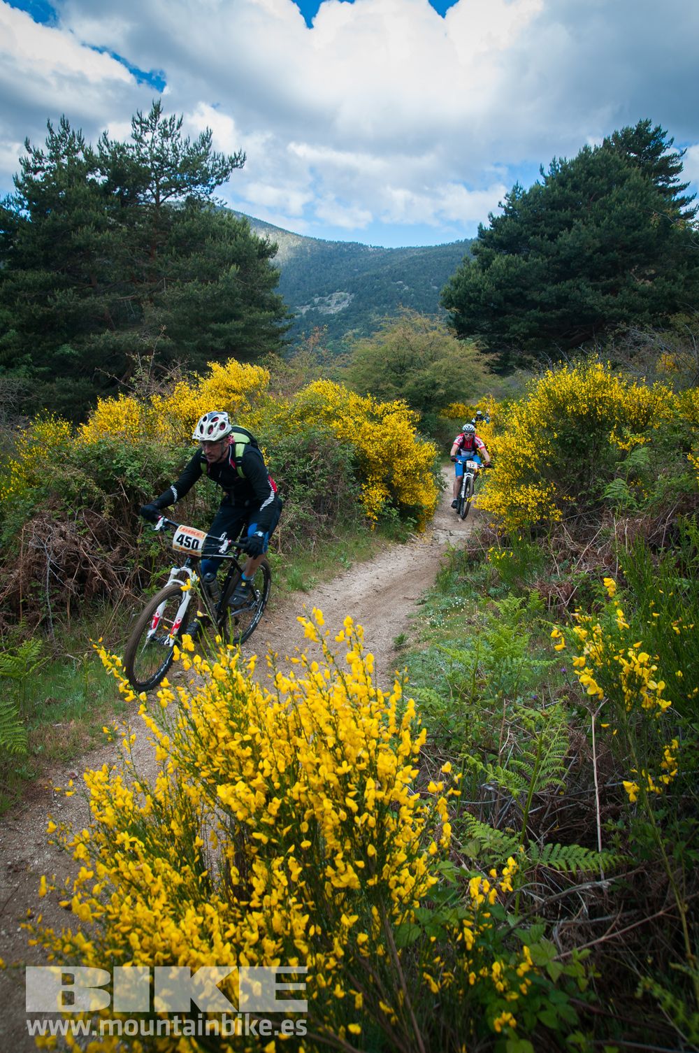 Maratón Test The Best 2014-9