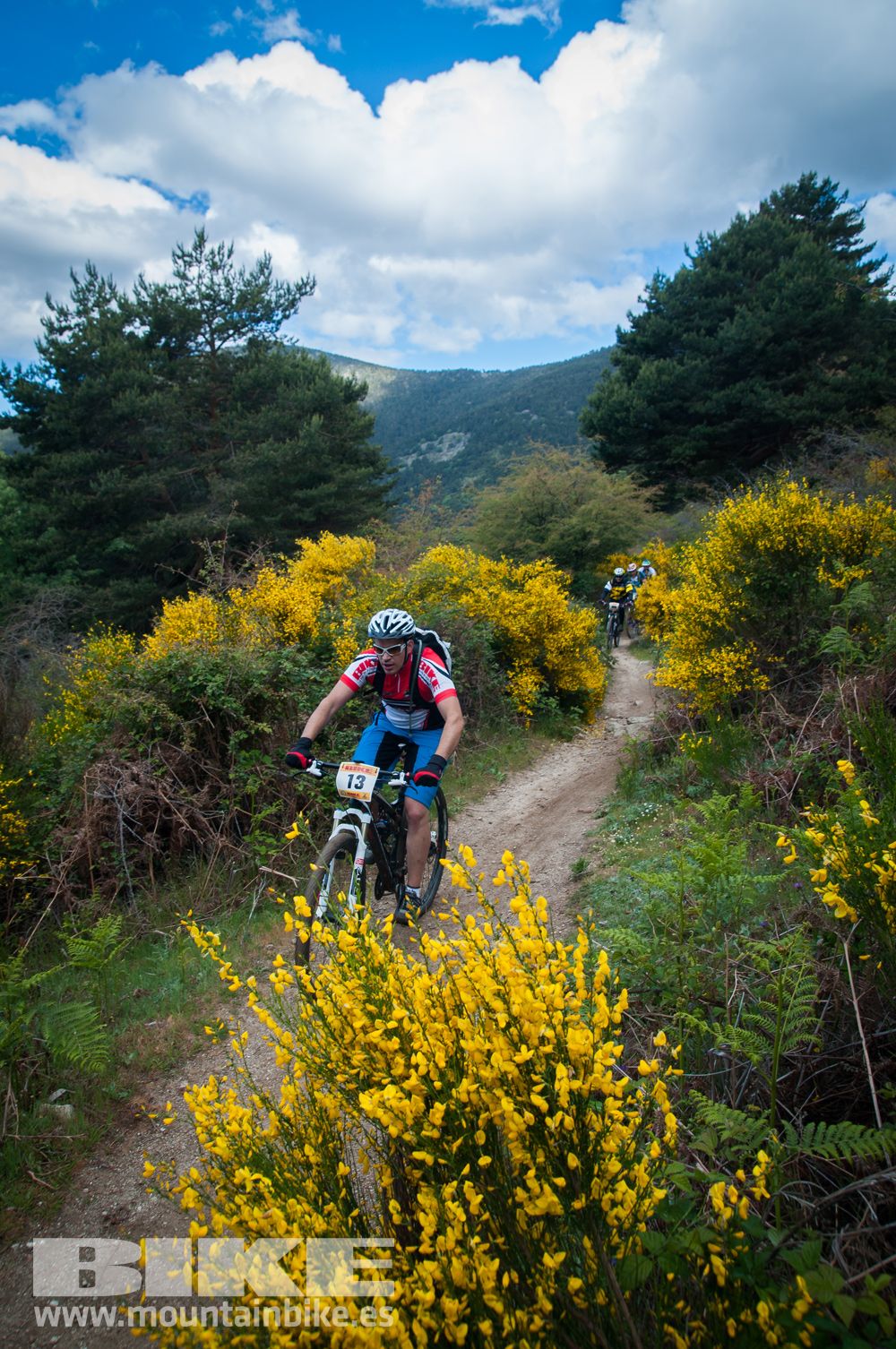 Maratón Test The Best 2014-9