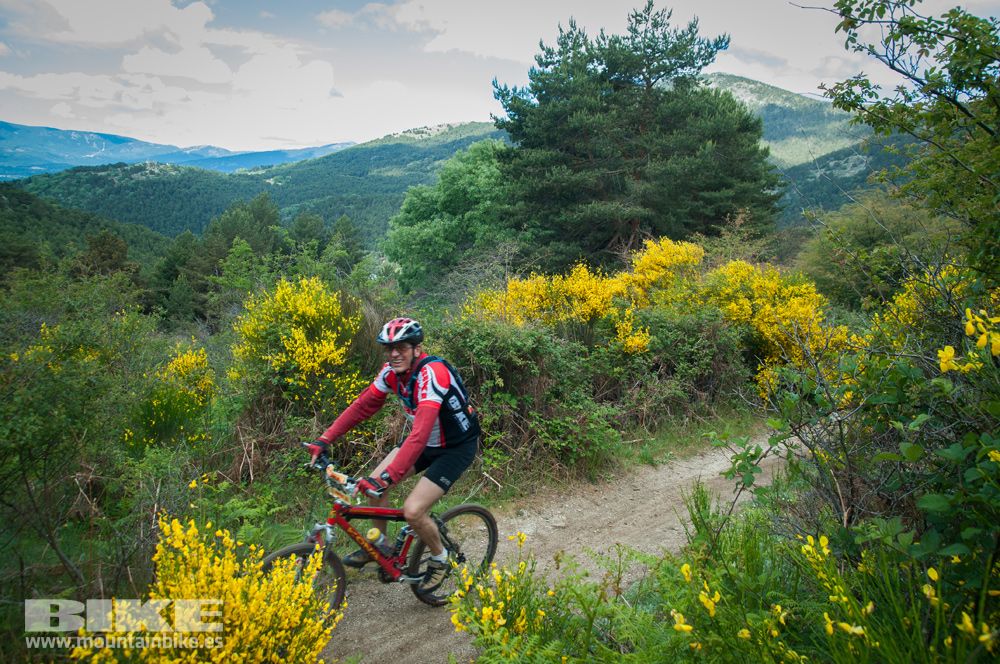 Maratón Test The Best 2014-9