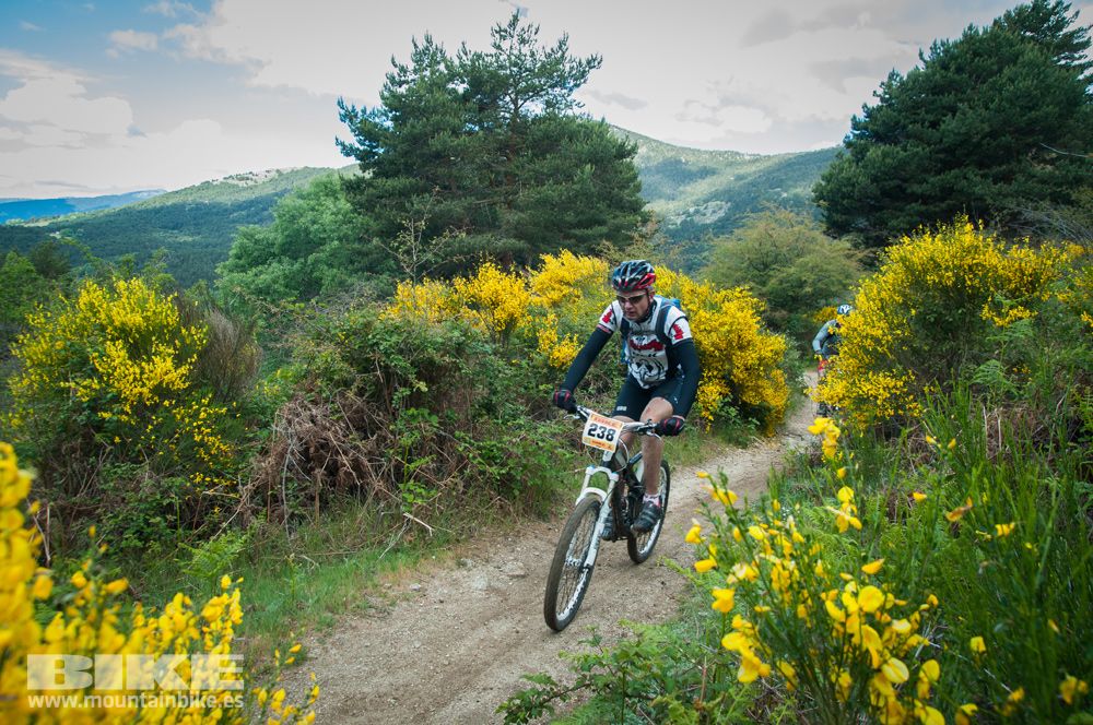 Maratón Test The Best 2014-9