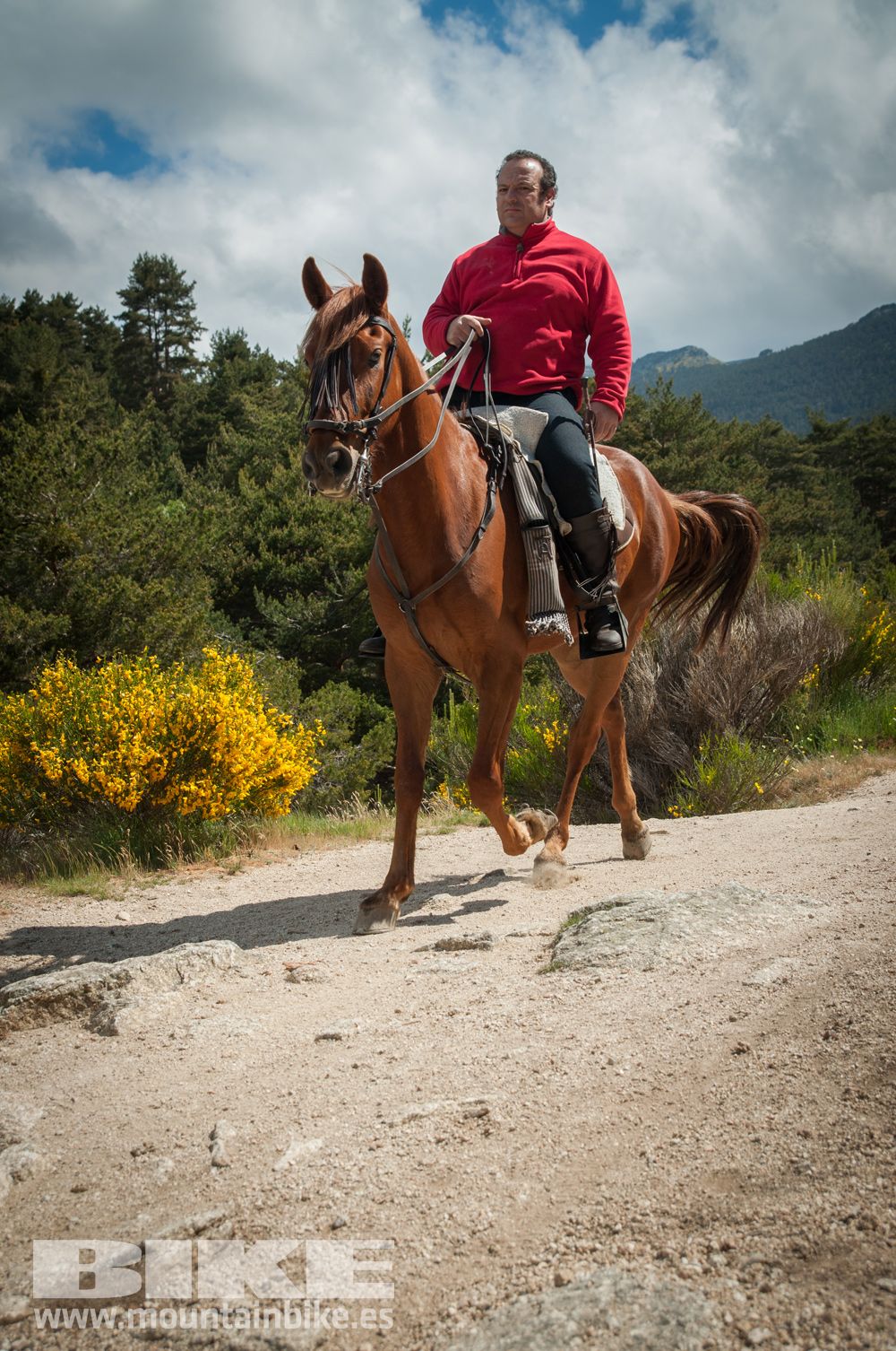 MTB mujer Test The Best 2014-3