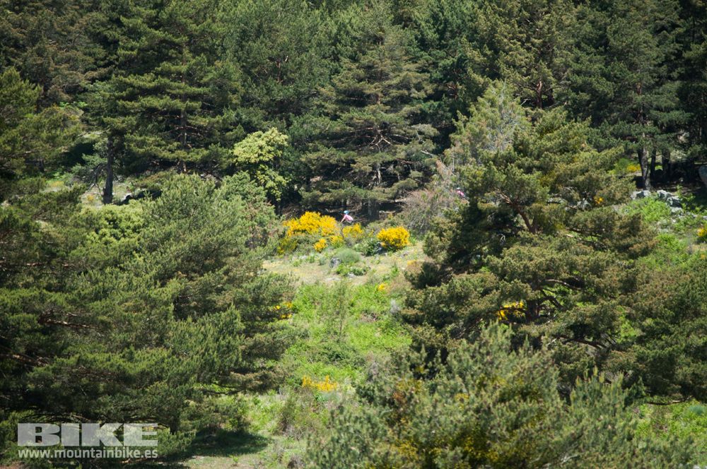 MTB mujer Test The Best 2014-3