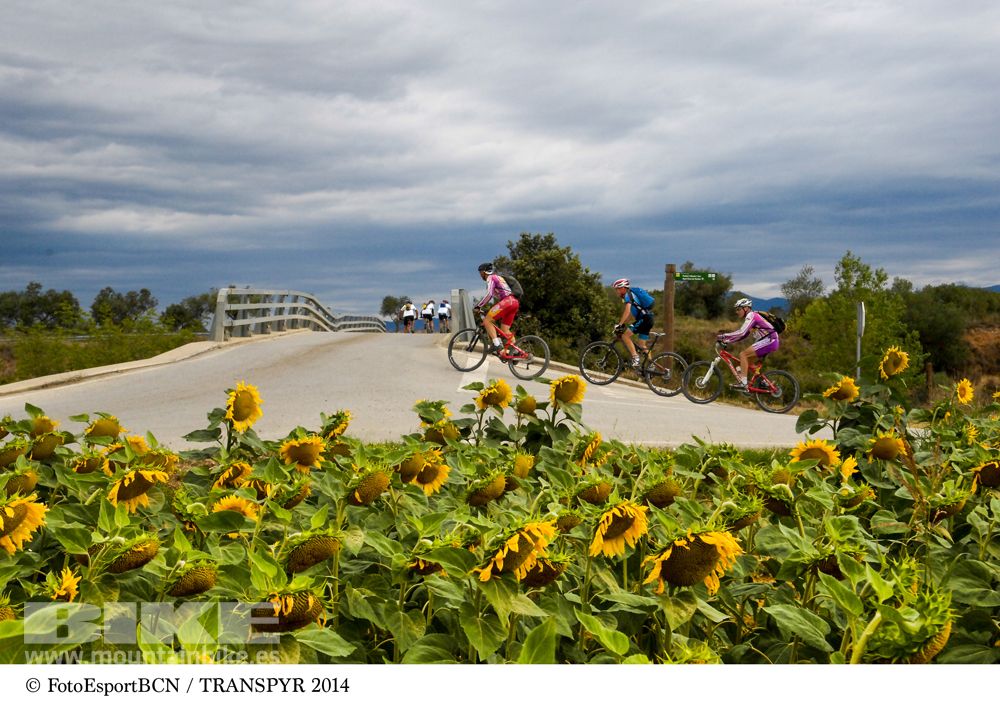 Transpyr 2014