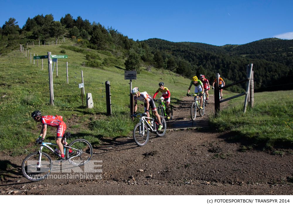 Transpyr 2014