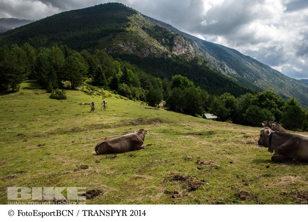 Transpyr 2014