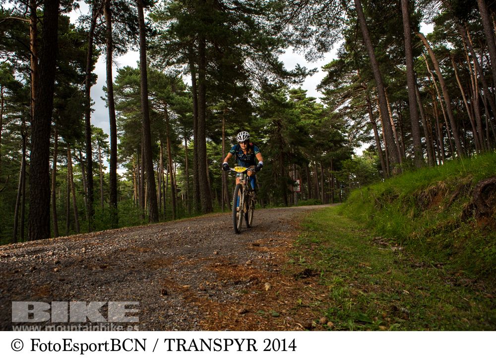 Transpyr 2014