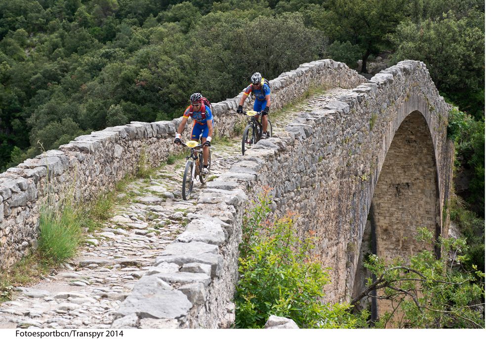 Transpyr 2014