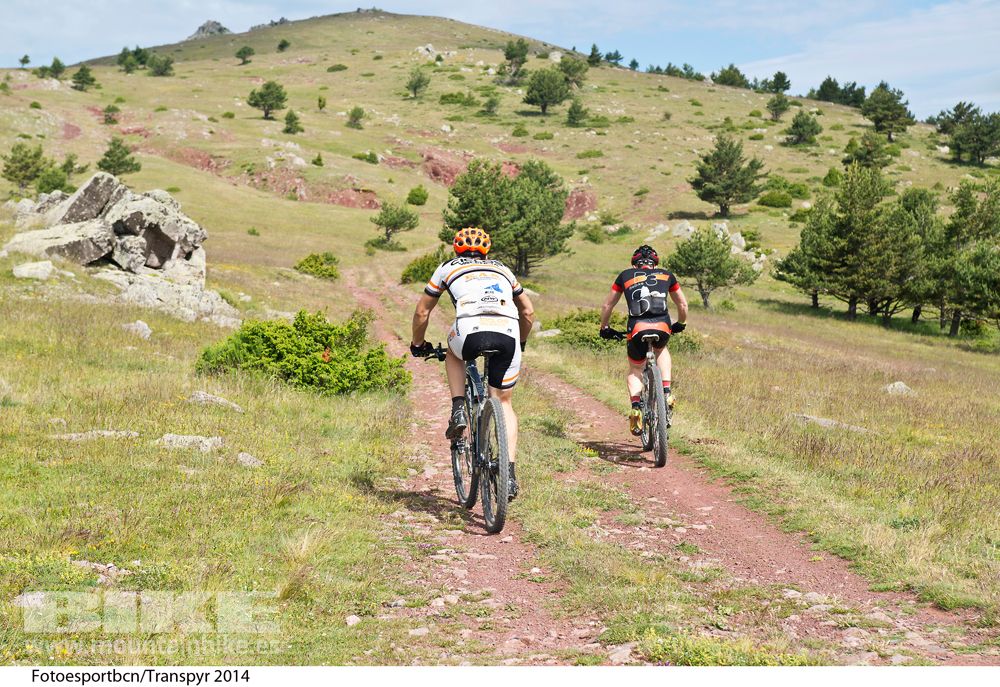 Transpyr 2014