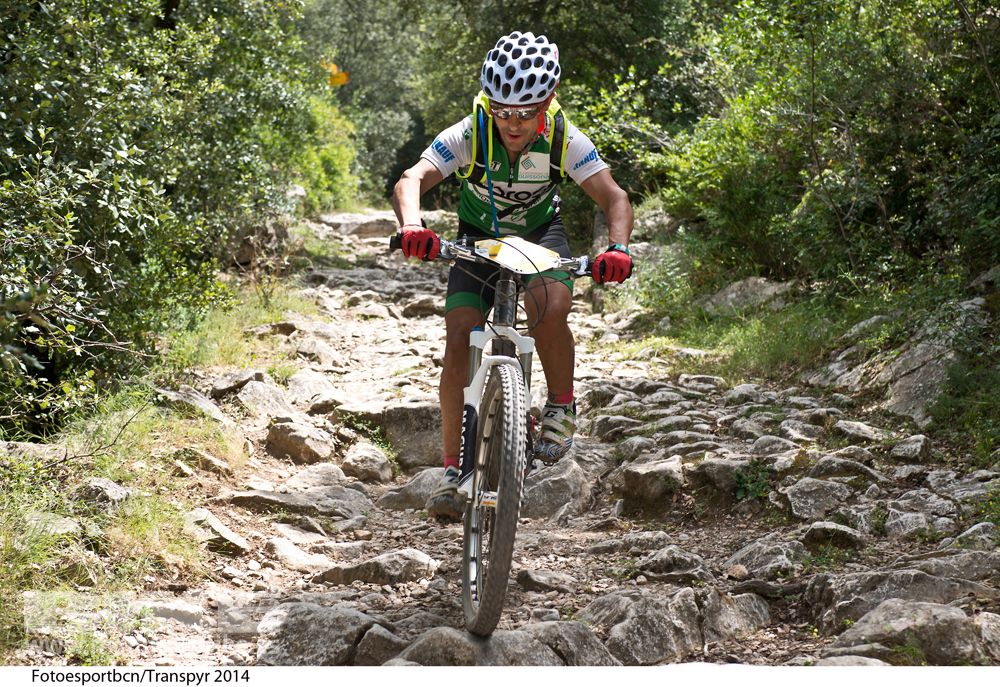 Transpyr 2014