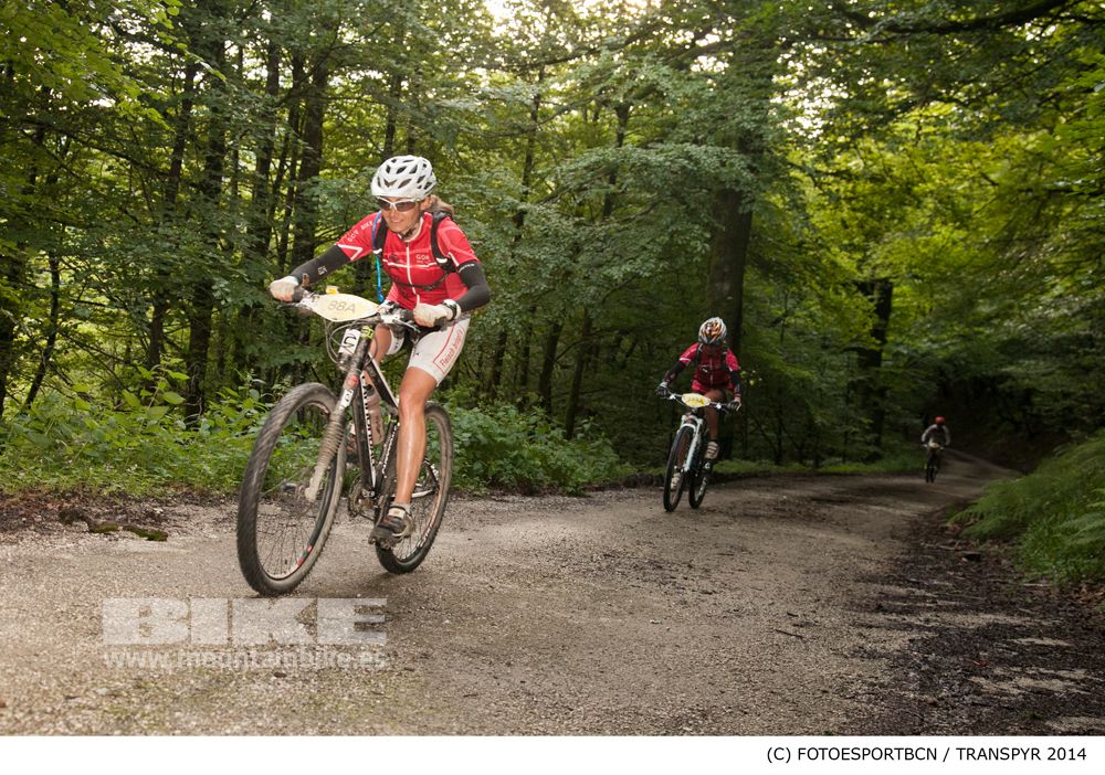 Transpyr 2014