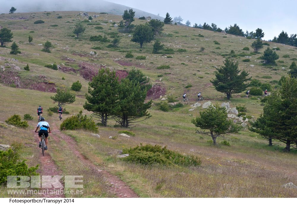 Transpyr 2014