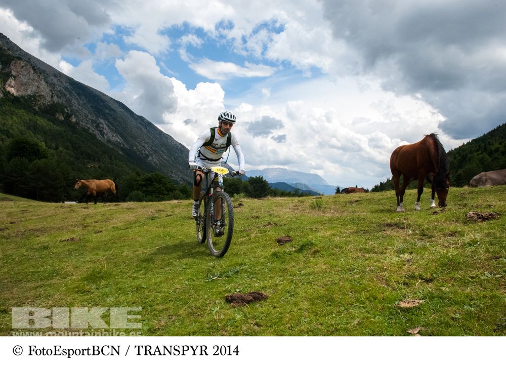 Transpyr 2014