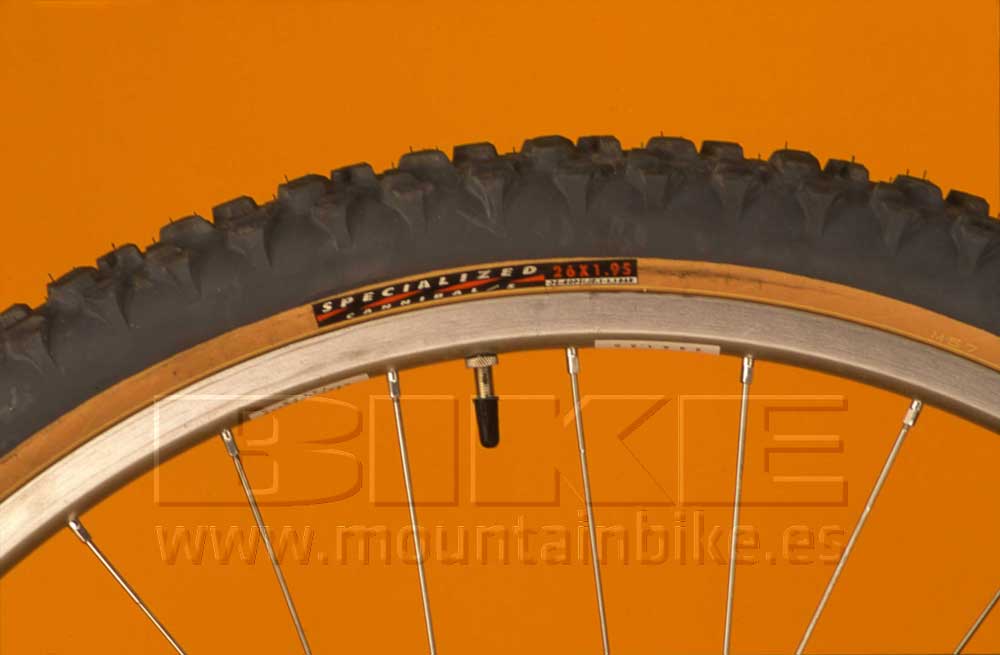 Bicis históricas: Specialized FSR 1993