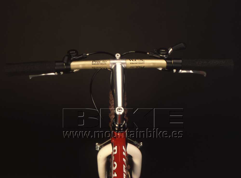 Ritchey P21