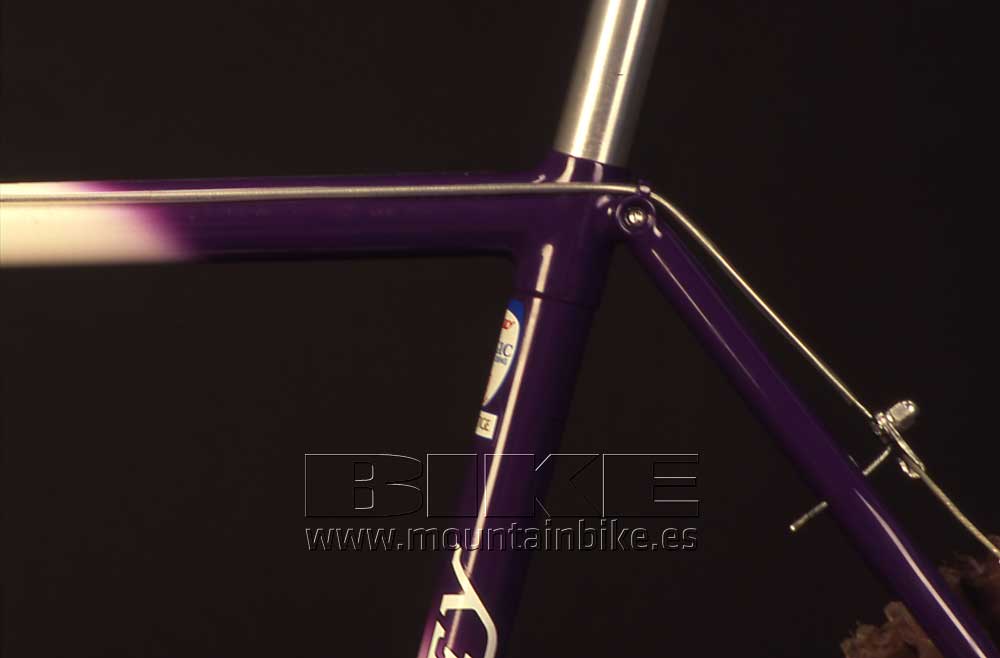 Ritchey P21