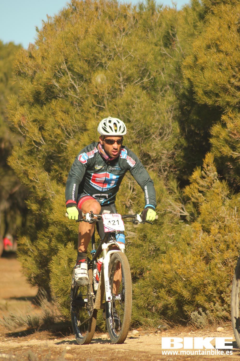 Valdemorillo 2015 Galeria 1