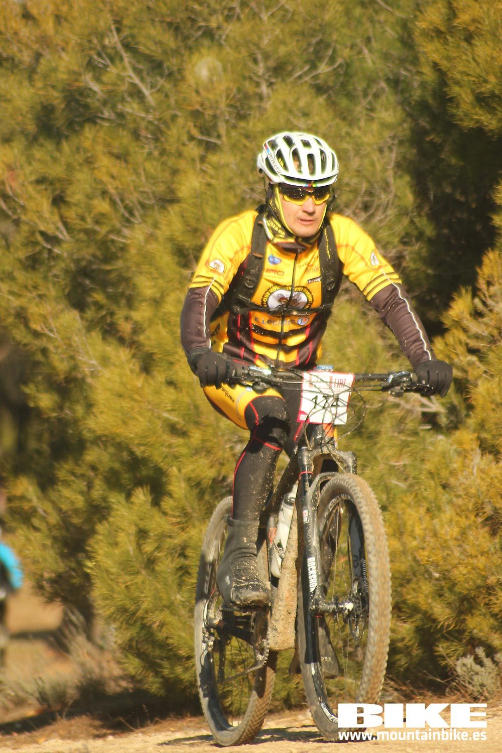 Valdemorillo 2015 Galeria 1