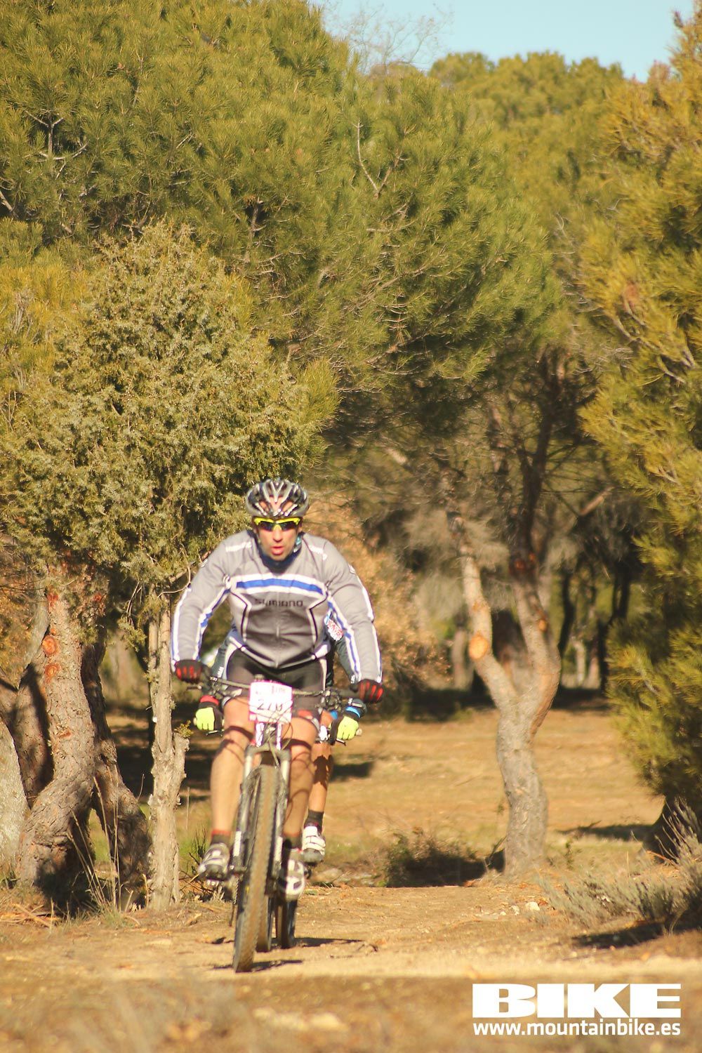 Valdemorillo 2015 Galeria 1