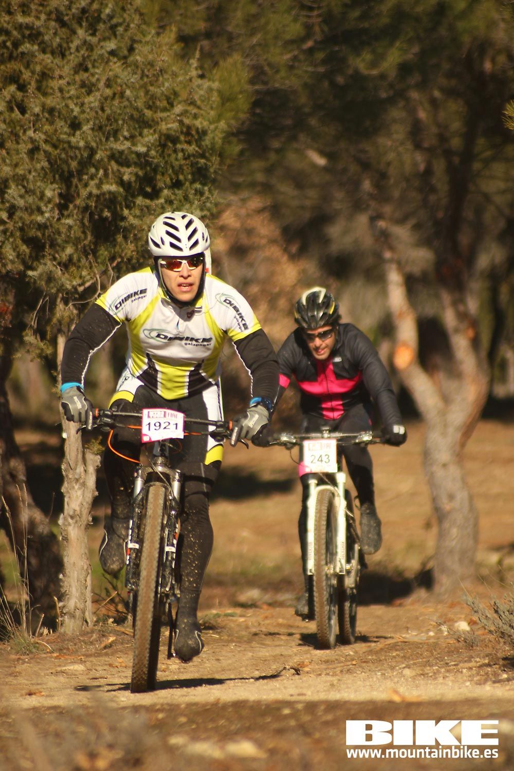 Valdemorillo 2015 Galeria 1