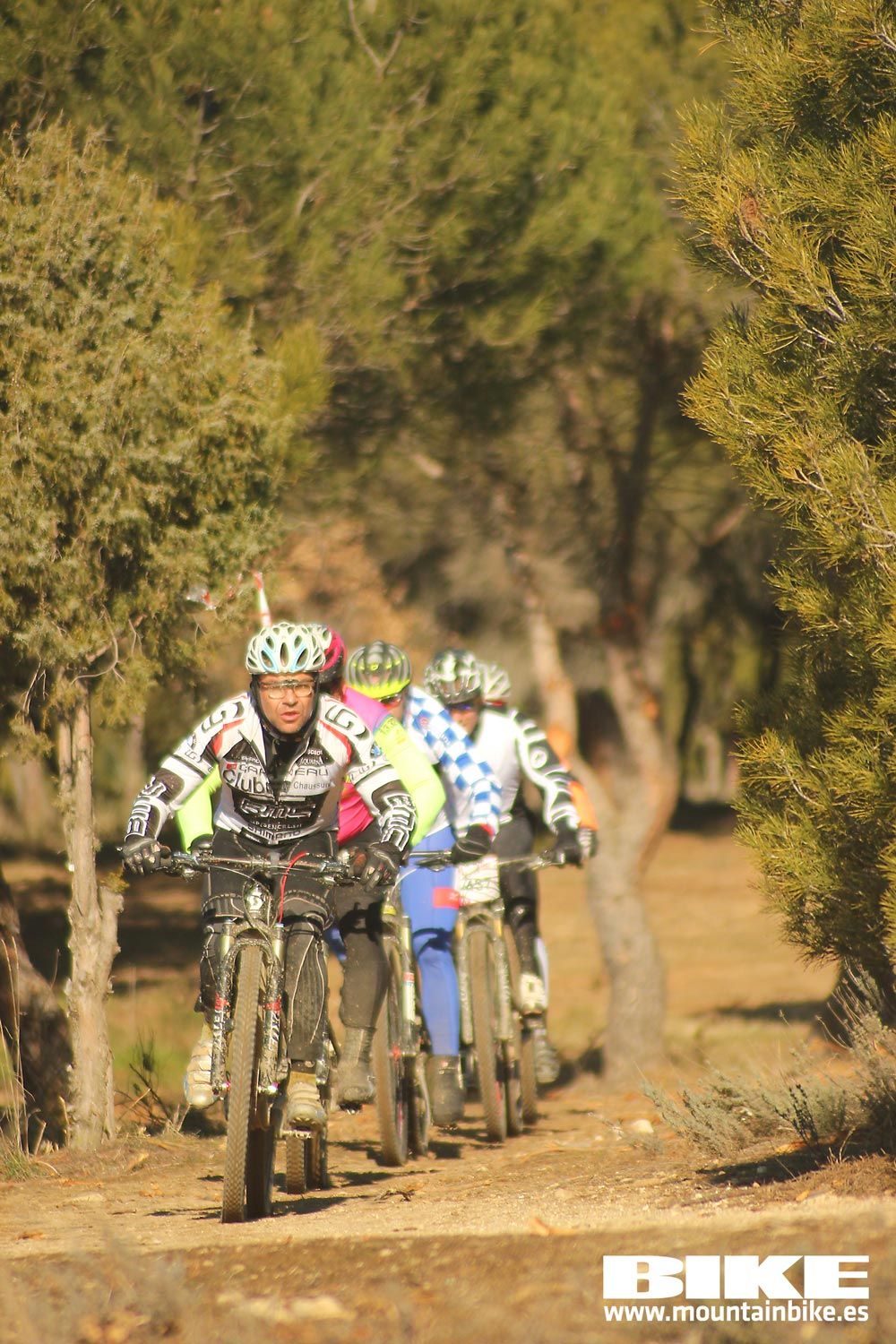 Valdemorillo 2015 Galeria 1