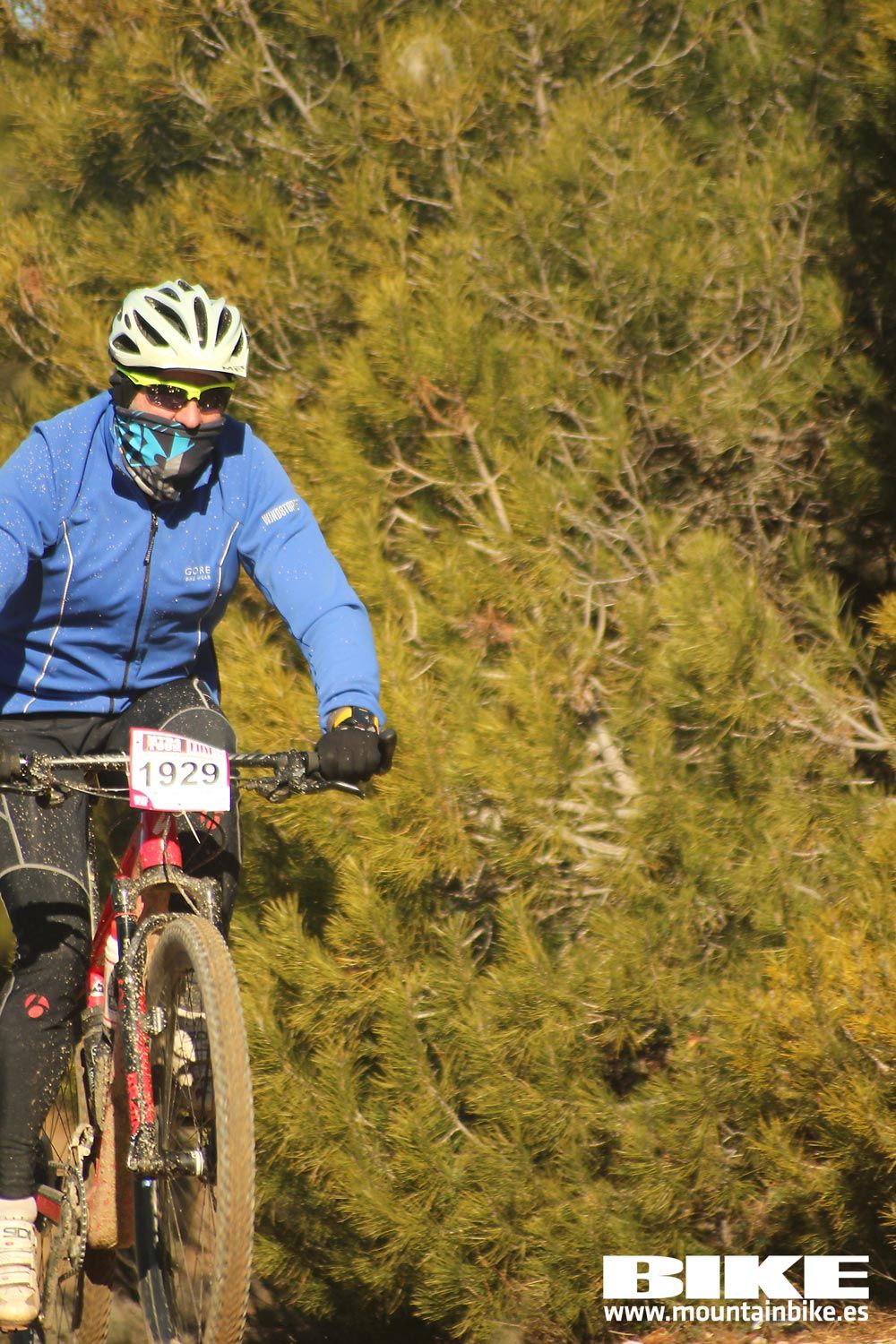 Valdemorillo 2015 Galeria 1
