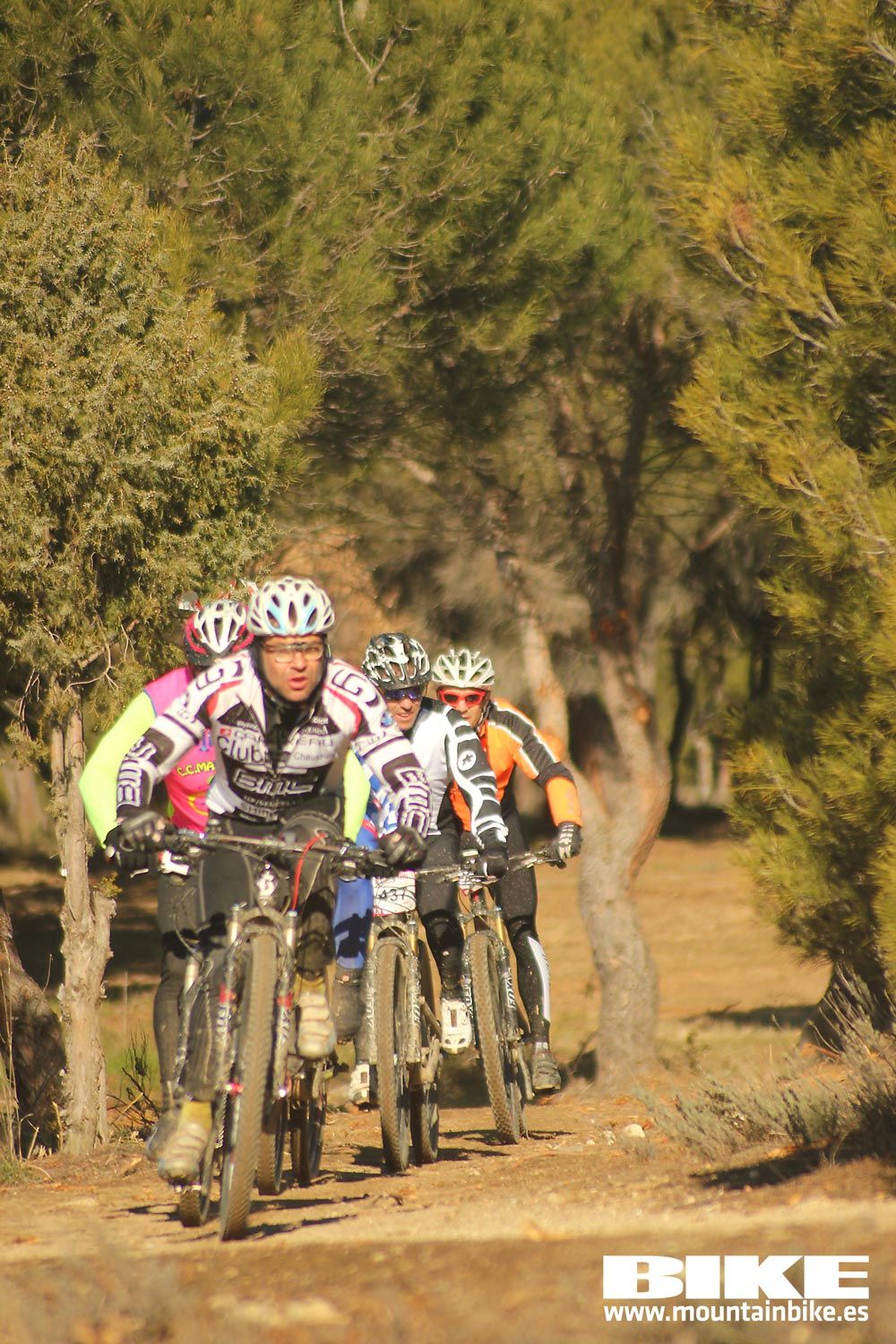 Valdemorillo 2015 Galeria 1