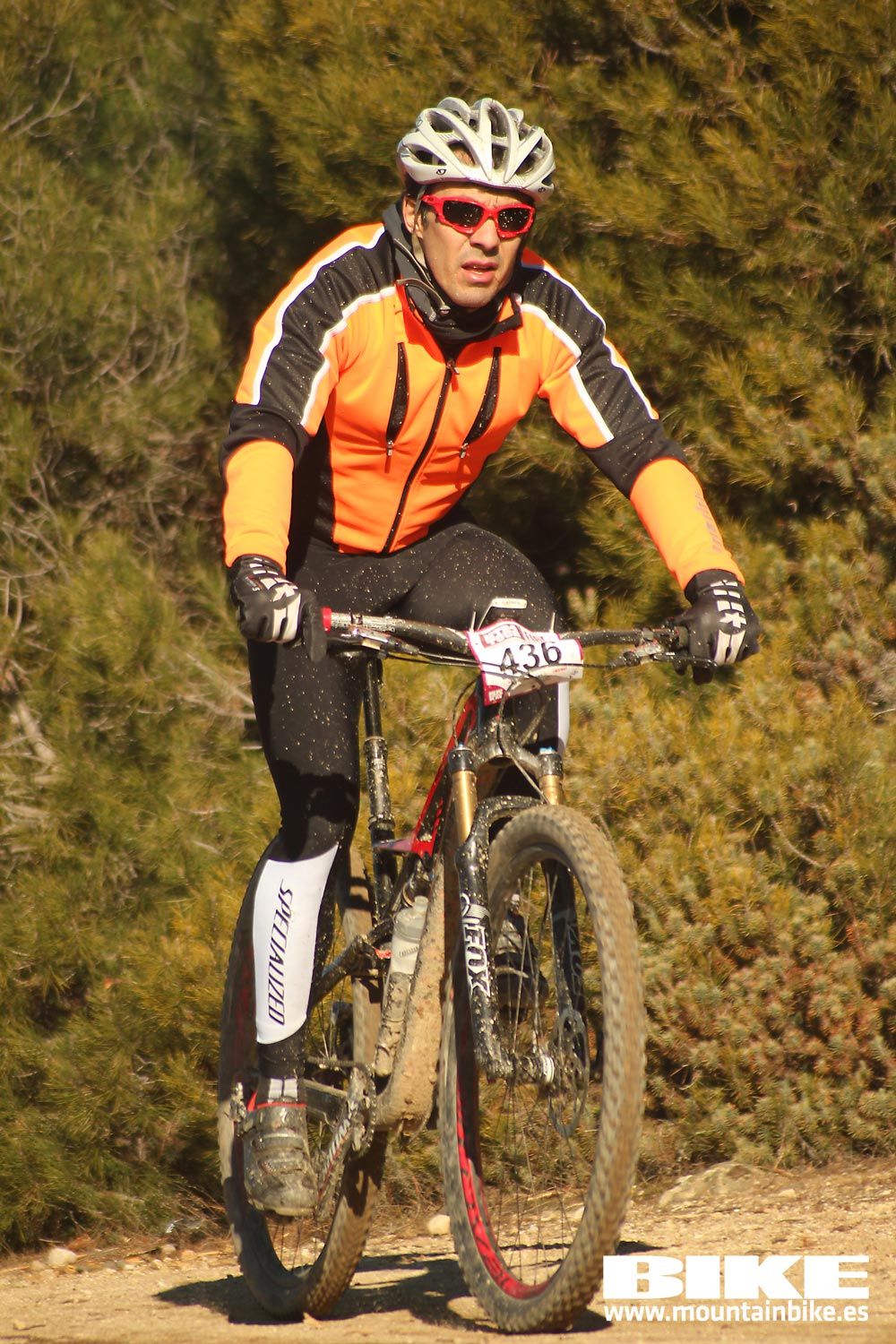 Valdemorillo 2015 Galeria 1