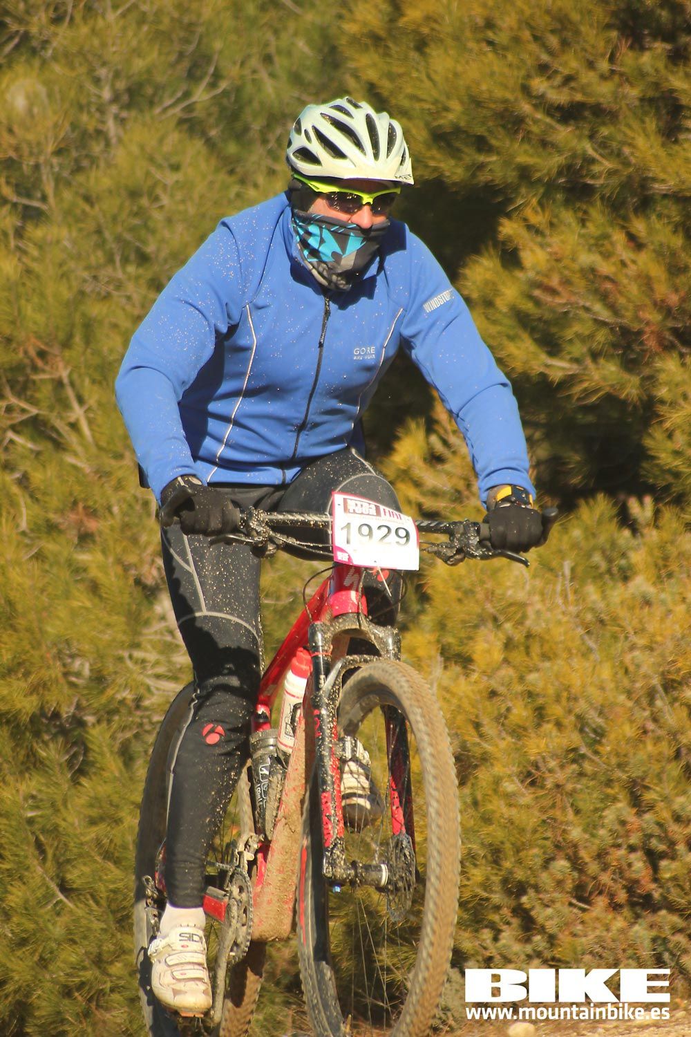 Valdemorillo 2015 Galeria 1