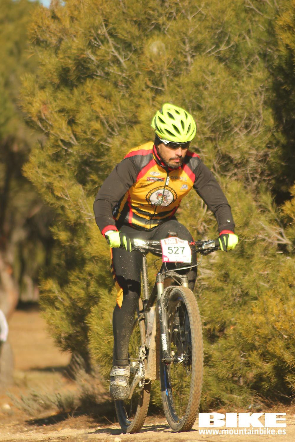 Valdemorillo 2015 Galeria 1