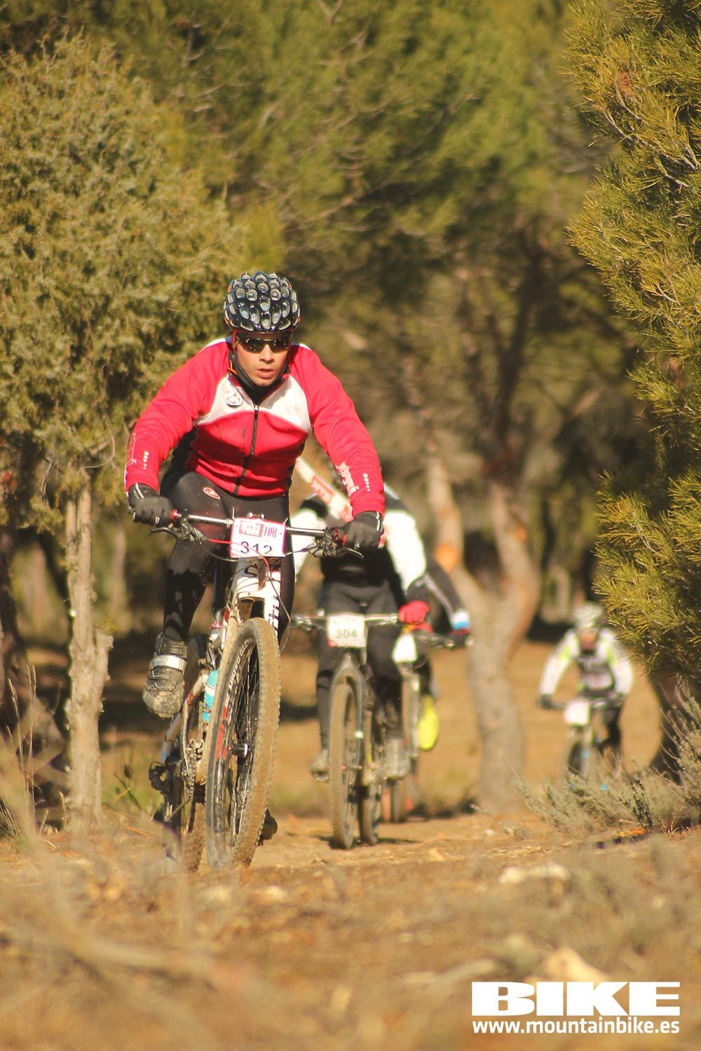 Valdemorillo 2015 Galeria 1