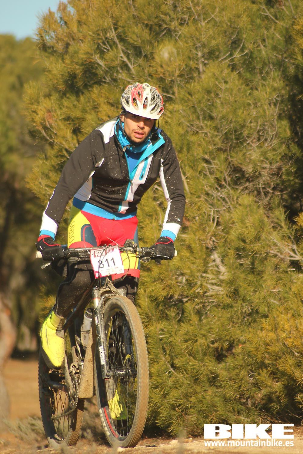Valdemorillo 2015 Galeria 1
