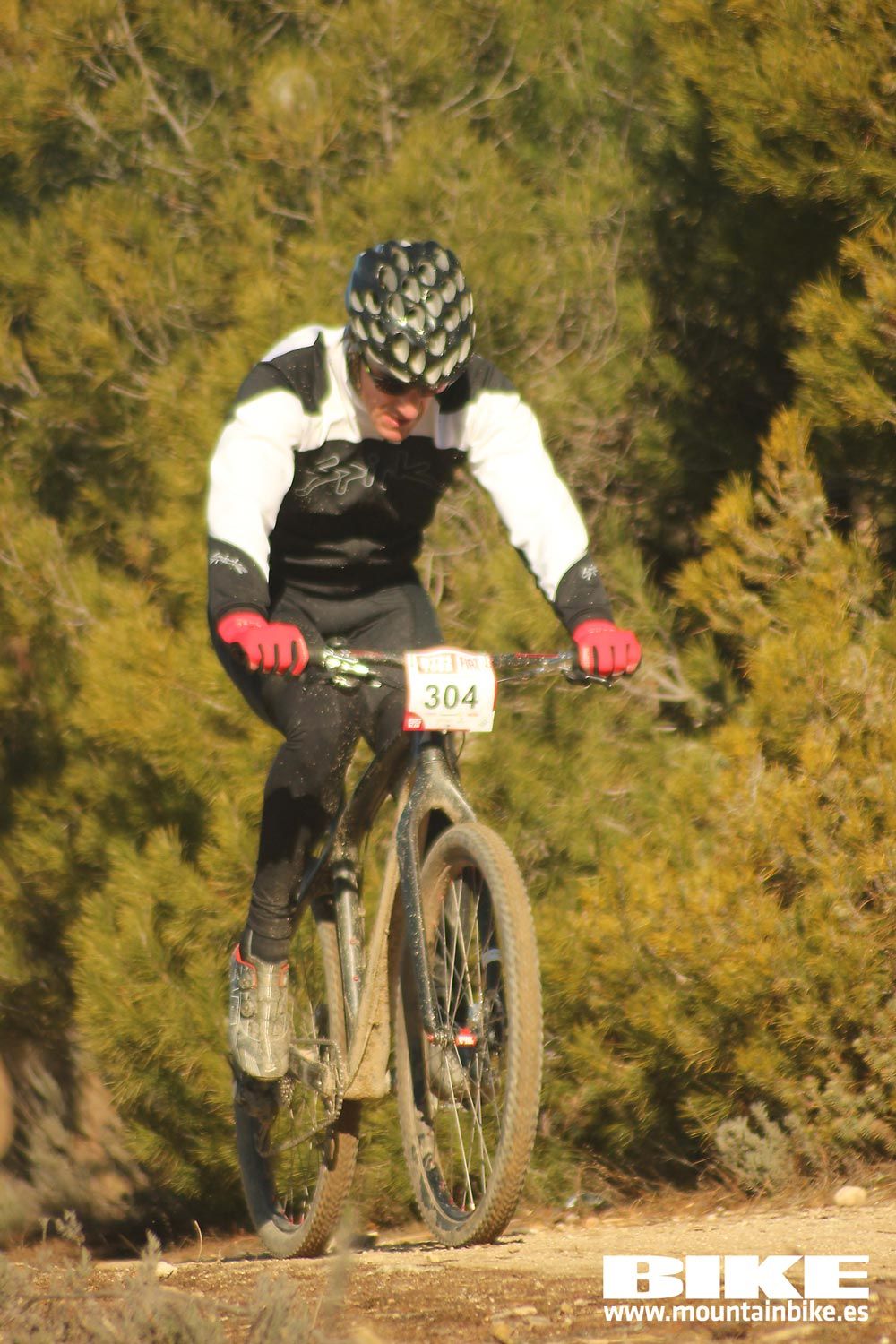 Valdemorillo 2015 Galeria 1