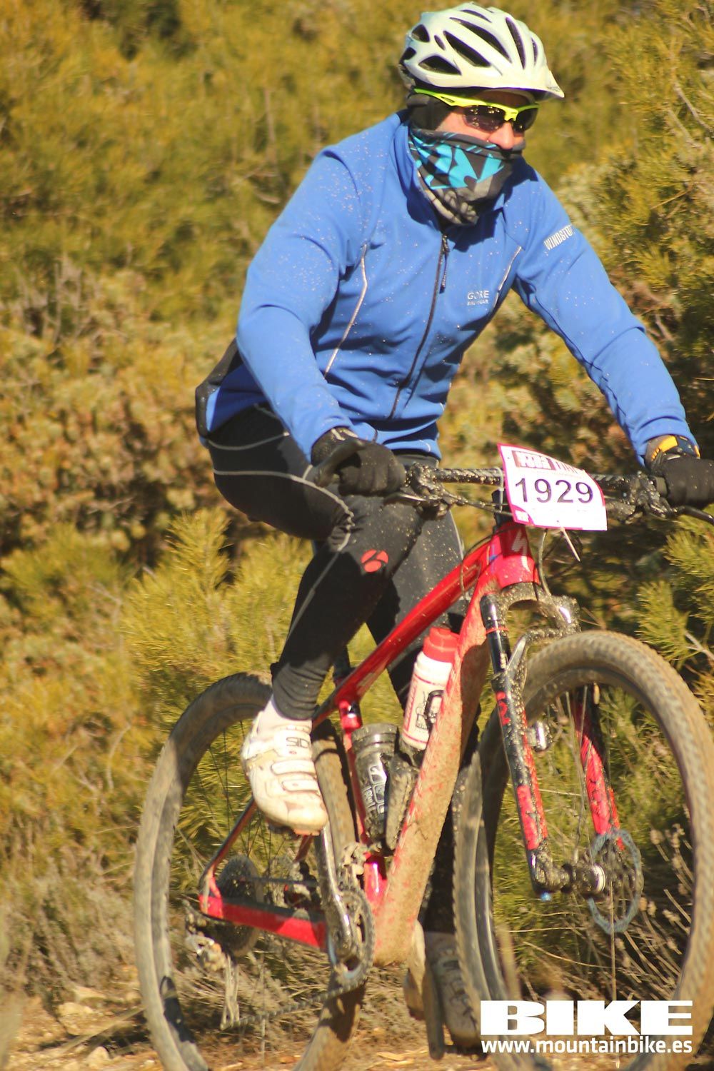 Valdemorillo 2015 Galeria 1
