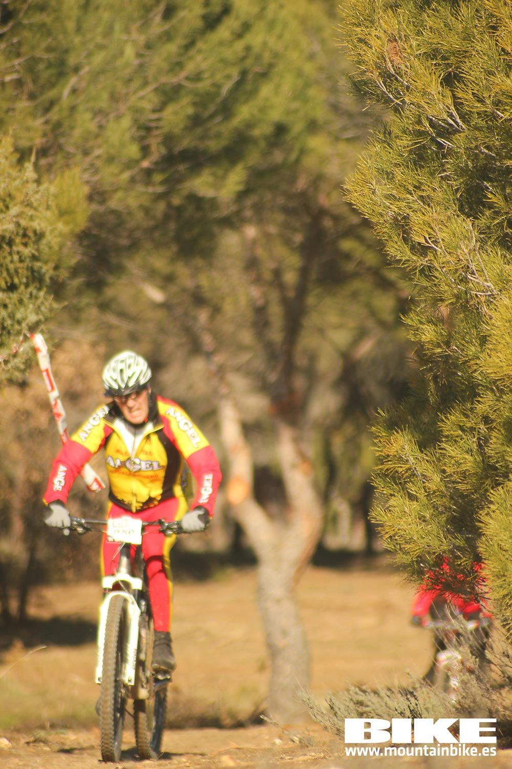 Valdemorillo 2015 Galeria 1