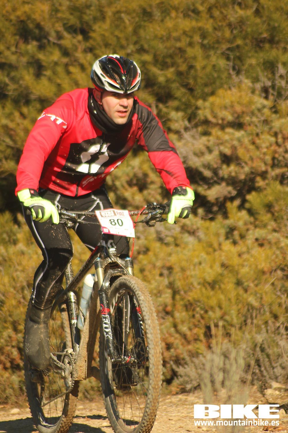 Valdemorillo 2015 Galeria 1